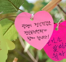 광명의 행복한 희망나무