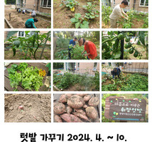 2024년 텃밭 