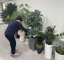 [2025년 5월 탄소중립실천] 식물 가꾸기 